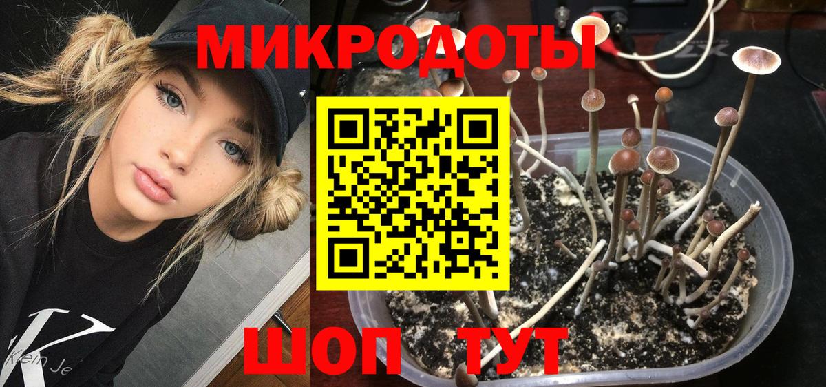 Псилоцибиновые грибы мухоморы Дзержинск